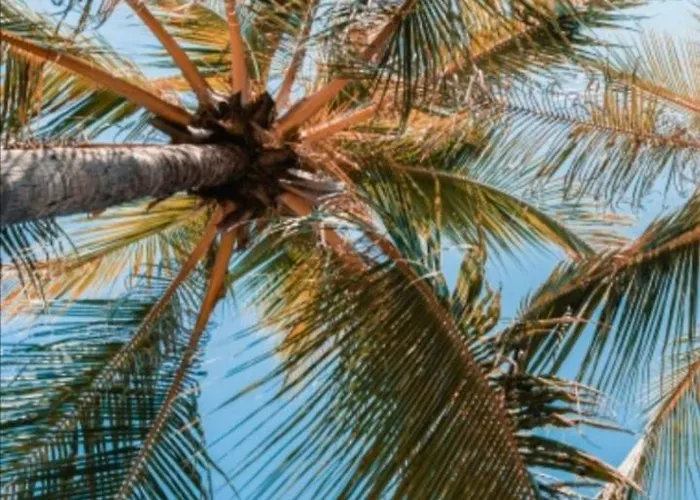 Casa Rustica - Courtyard House Vakantiehuis