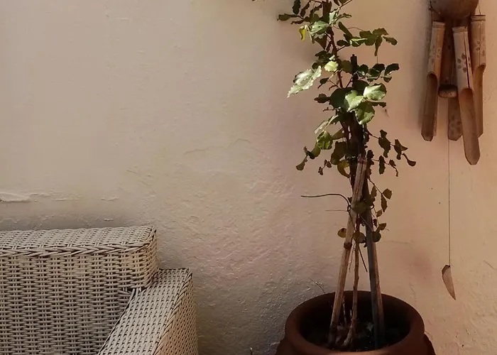 Casa Rustica - Courtyard House * Olhão