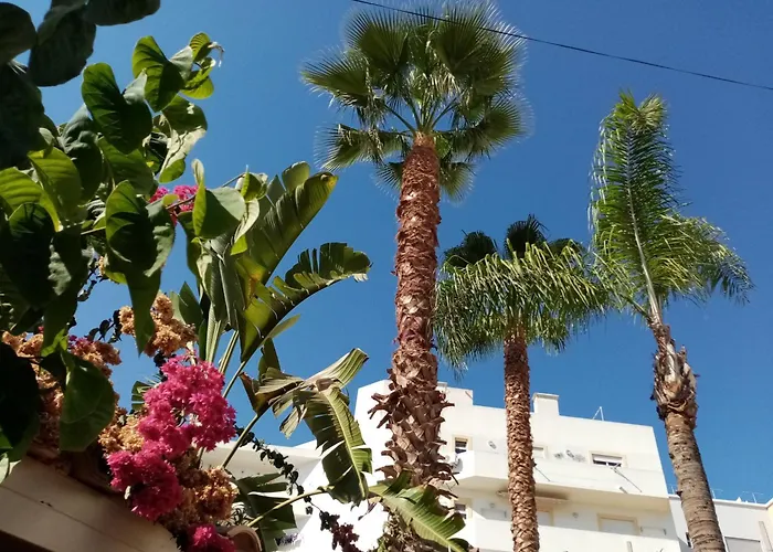 Casa Rustica - Courtyard House Olhão