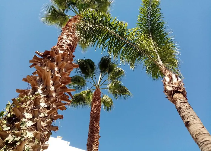 Vakantiehuis Casa Rustica - Courtyard House Olhão