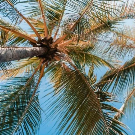 Casa Rustica - Courtyard House Ferienhaus