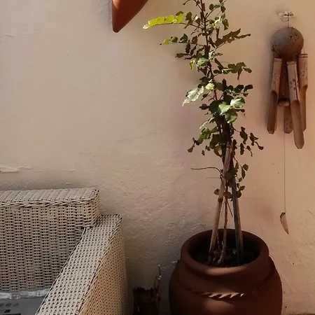 Casa Rustica - Courtyard House * Olhão