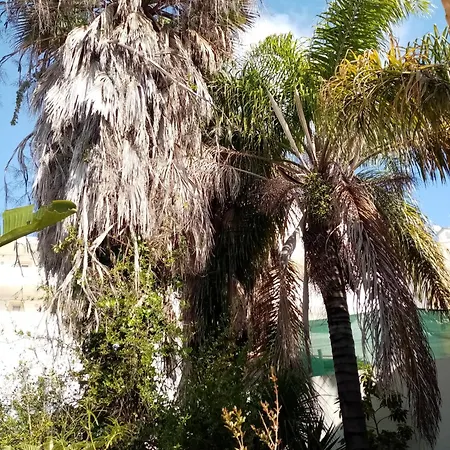 Casa Rustica *