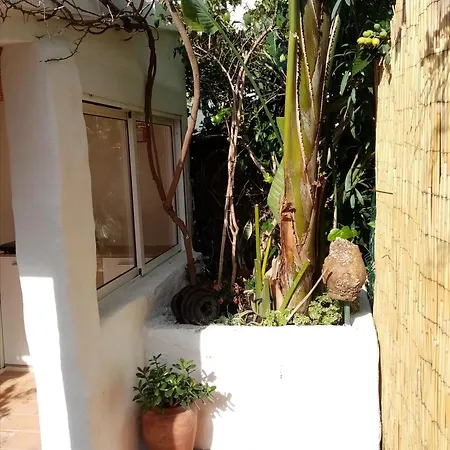 Casa Rustica Holiday home Olhao