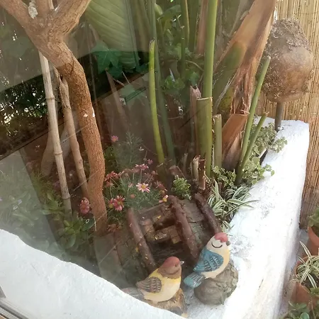 Casa Rustica