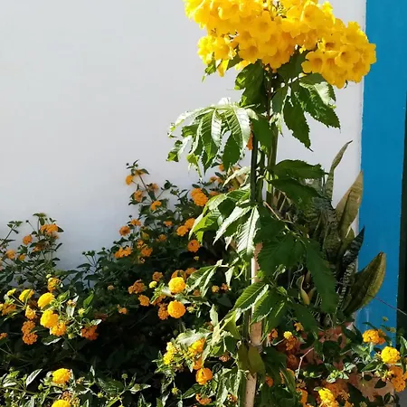 Casa Rustica - Entire Courtyard House - Sunny Patio * Olhão