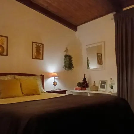 Casa Rustica - Courtyard House 奥良