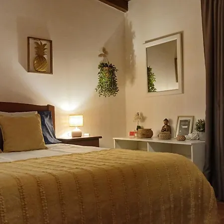 Casa Rustica - Do Pátio Ensolarado&jardim Olhão