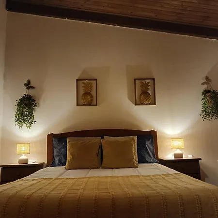 Casa Rustica - Do Pátio Ensolarado&jardim Casa de Férias
